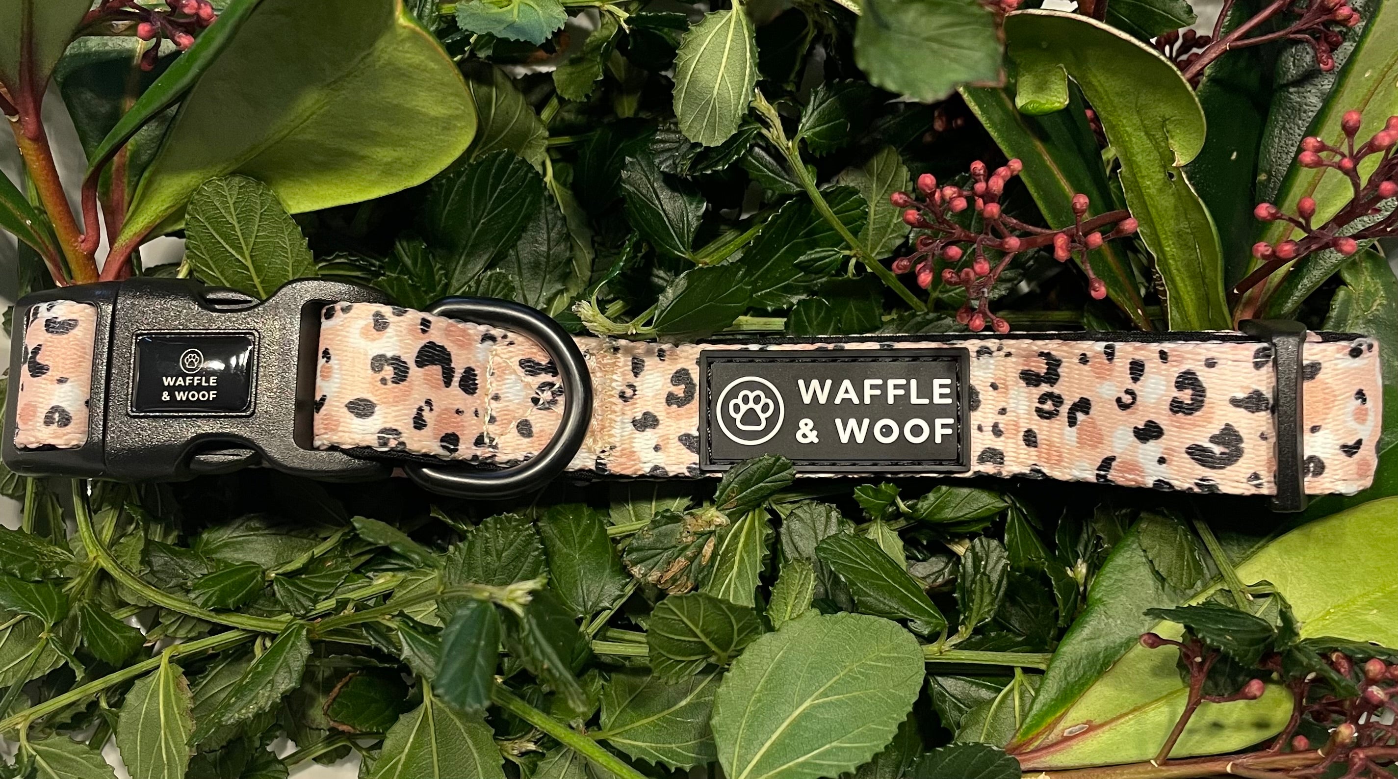 Pink Leopard Collar Waffle Woof